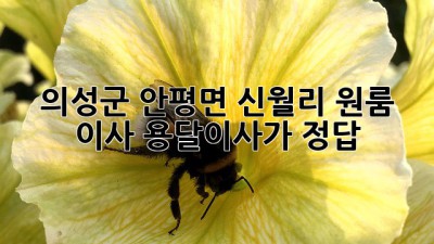 의성군 안평면 신월리 원룸 이사, 용달이사가 정답!