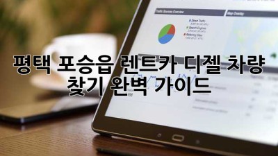 평택 포승읍 렌트카: 디젤 차량 찾기 완벽 가이드