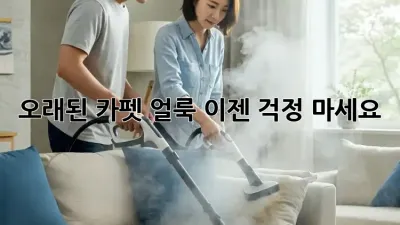 오래된 카펫 얼룩, 이젠 걱정 마세요!