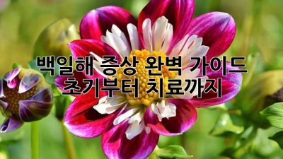 백일해 증상 완벽 가이드: 초기부터 치료까지